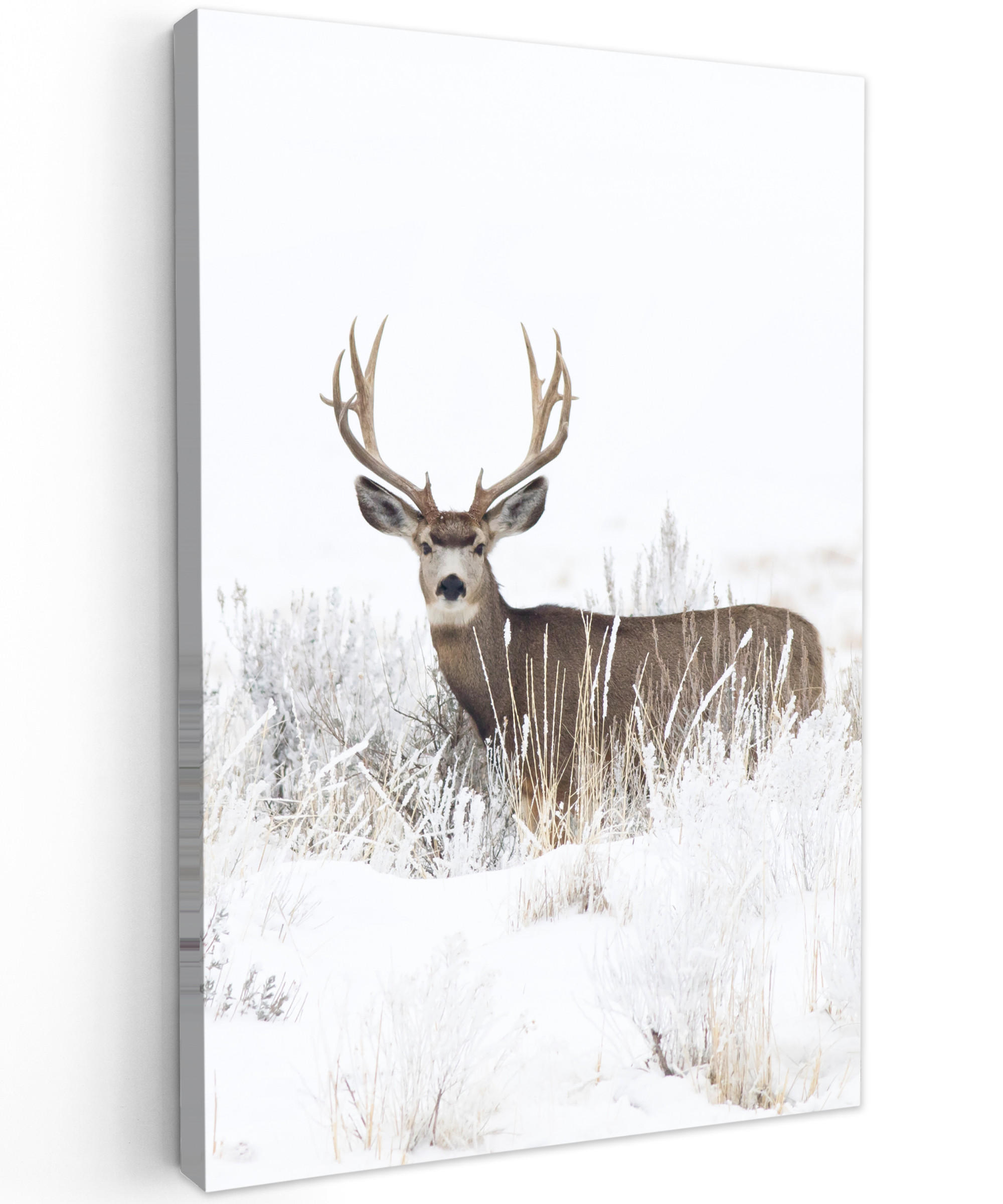 LEINWANDBILD Hirsche - Winter - Schnee - Tiere - Jahreszeiten - Weiß 20x30 cm - Hellbraun, Textil (20/30cm) - MuchoWow