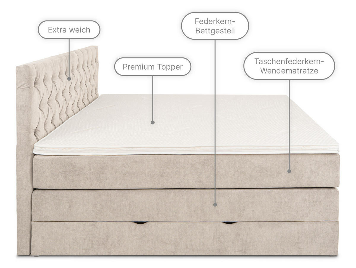 BOXSPRINGBETT Verona Beige 180/200 cm H2/H3 Samt - Beige, Textil (180/200cm) - wonello