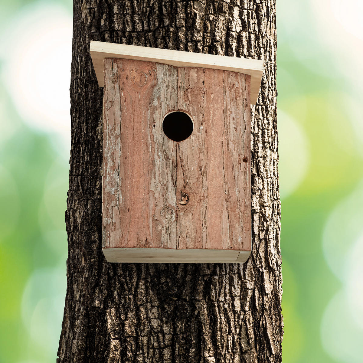 NISTKASTEN - Braun, Holz (16.5/20/16.5cm) - Relaxdays