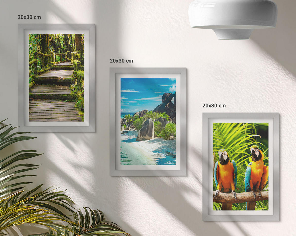 BILDER SET 3er Set - 20x30 cm Silberner Rahmen - Tropischer Wald Papageienwasserfall - Silberfarben, Kunststoff (20/30cm) - TULUP