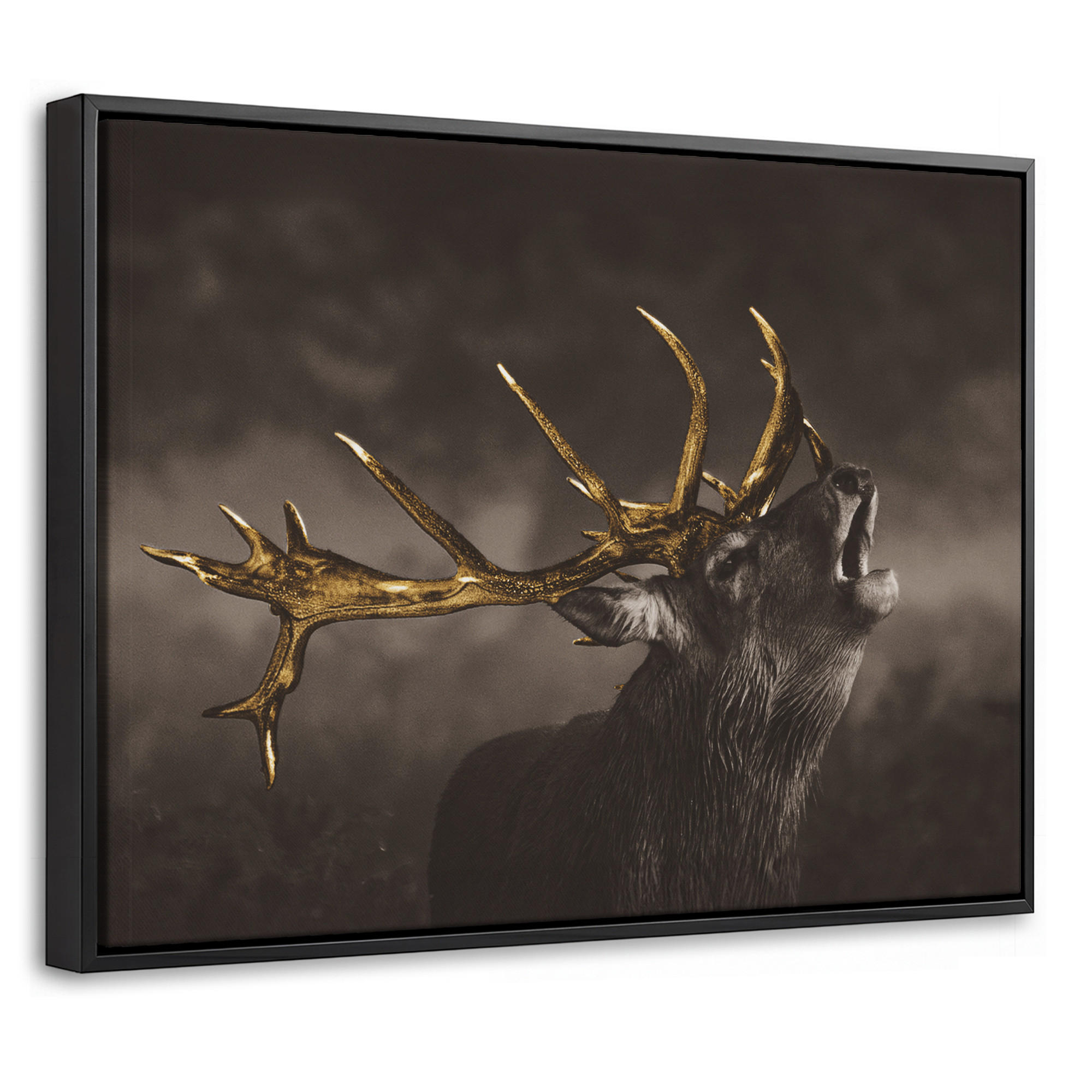 MuchoWow Leinwand Braun 40x30 cm