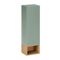 SCHRANKORIA Grün - Grün, Holzwerkstoff (30/100/26.6cm) - Petits-meubles