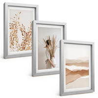 BILDER SET 3er Set - 20x30 cm Silberner Rahmen - Rustikale Boho-Blumenmotive - Silberfarben, Kunststoff (20/30cm) - TULUP