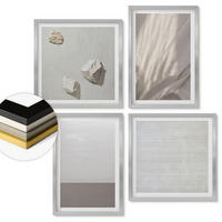 WANDBILDER 4er Set - 50x50 cm & 40x60 cm Silberner Rahmen - Zarte Boho-Texturen der Natur - Silberfarben, Kunststoff (50/50cm) - ArtPrintCave