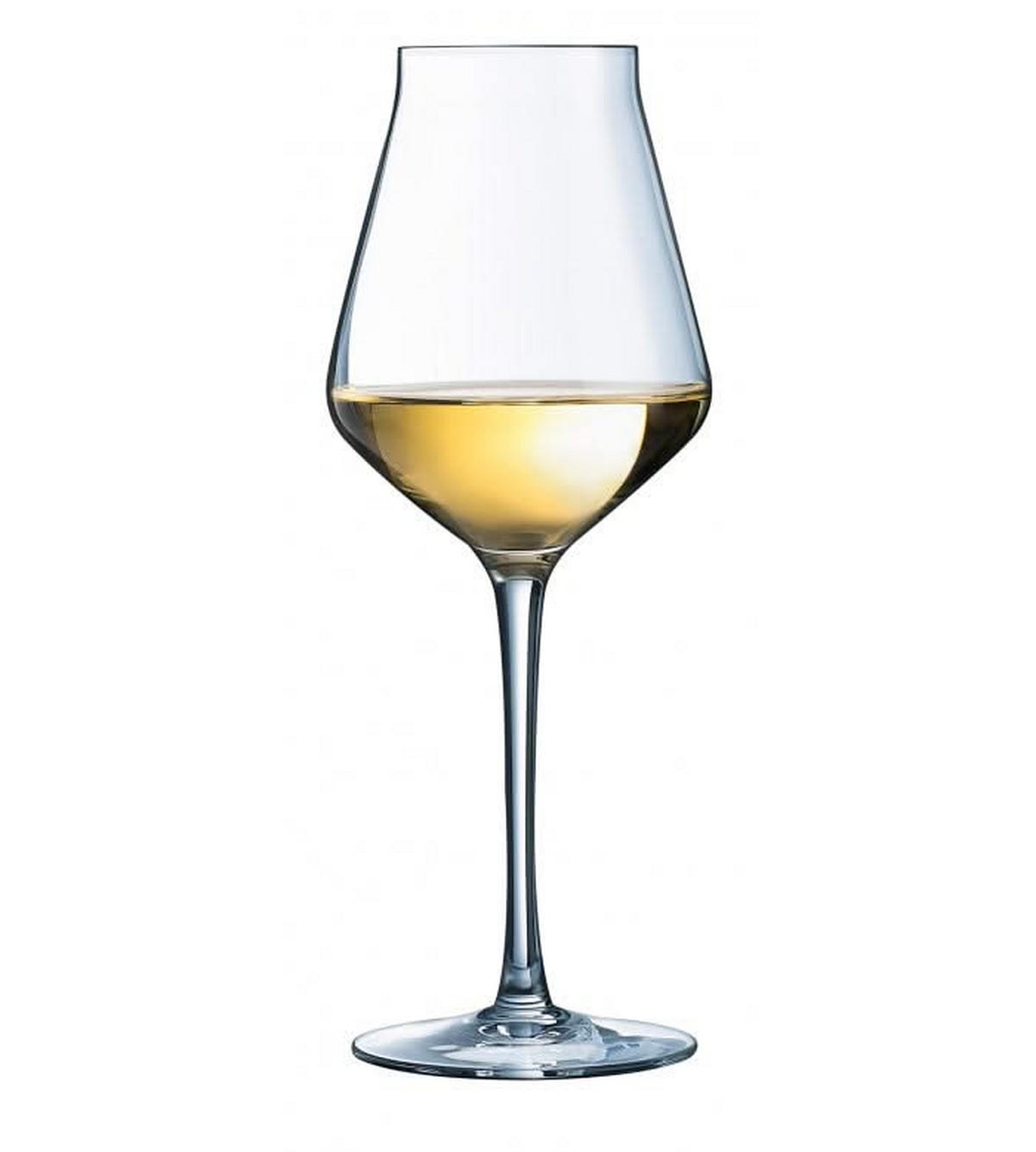 WEISSES WEINGLAS Weiße Weingläser Reveal Up 300 ml - 6 Stücke - Transparent, Glas (0.3L)