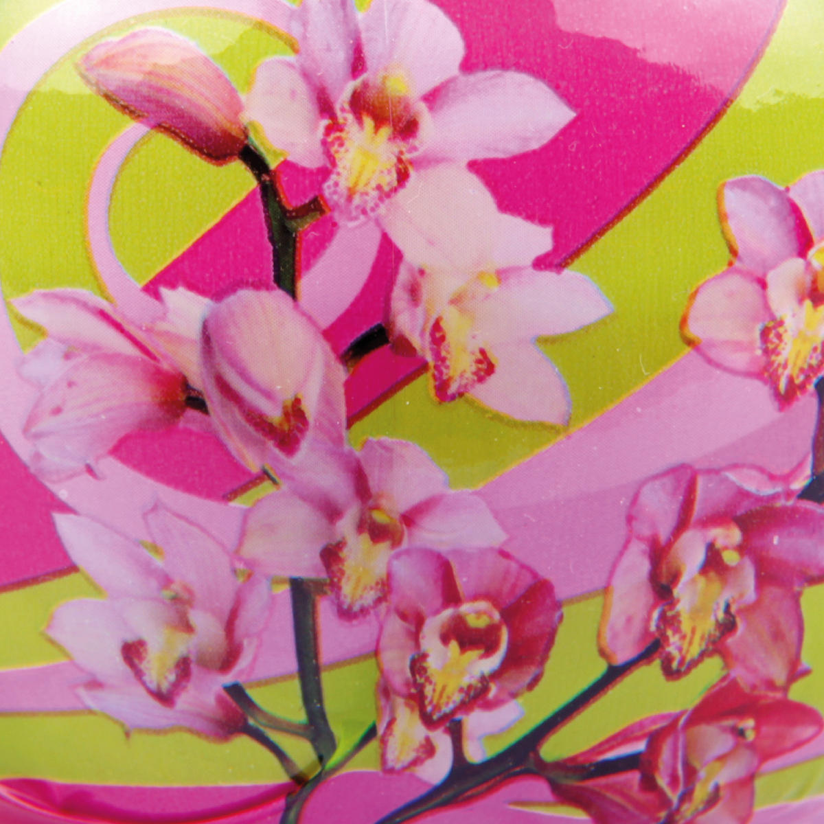 DUFTKERZEN Glas 6er-Pack Blütenzauber - Rosa, Naturmaterialien (7/6cm)