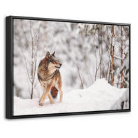 LEINWAND Bilder mit Rahmen - Wolf - Winter - Schnee - Natur - Tiere - 30x20 - Haselnussfarben, Textil (30/20cm) - MuchoWow