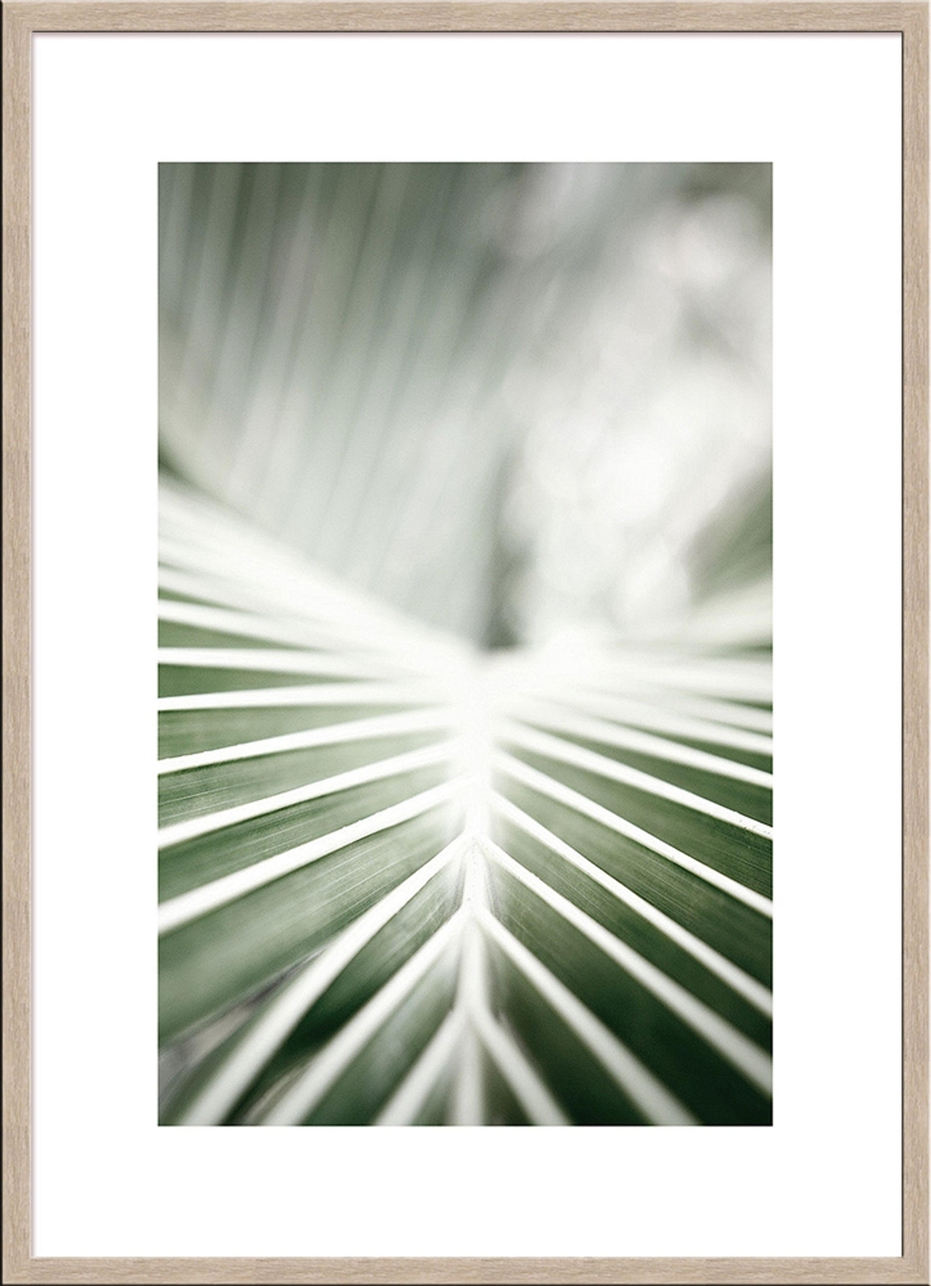 POSTER mit Rahmen 50x70 cm Tropisches Blatt Grün - Beige, Holz (51/71cm) - artissimo