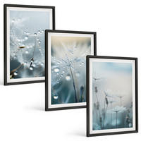 BILDER SET 3er Set - 40x60 cm Schwarzer Rahmen - Tautropfen auf Löwenzahn - Schwarz, Kunststoff (40/60cm) - TULUP