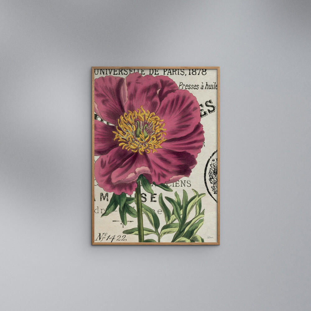 POSTER Wild Apple - Global - Pink, Papier (30/40/0.1cm) - Poster&Frame