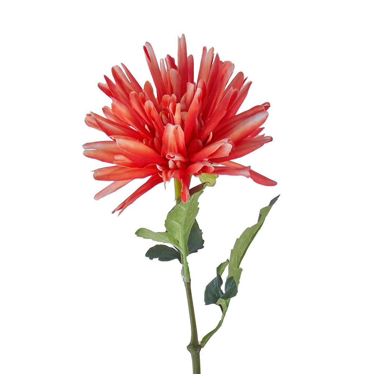 KUNSTBLUME Florista Dahlie - Polyethylen/Polyester - Rosa - Orange, Kunststoff (59cm) - Butlers