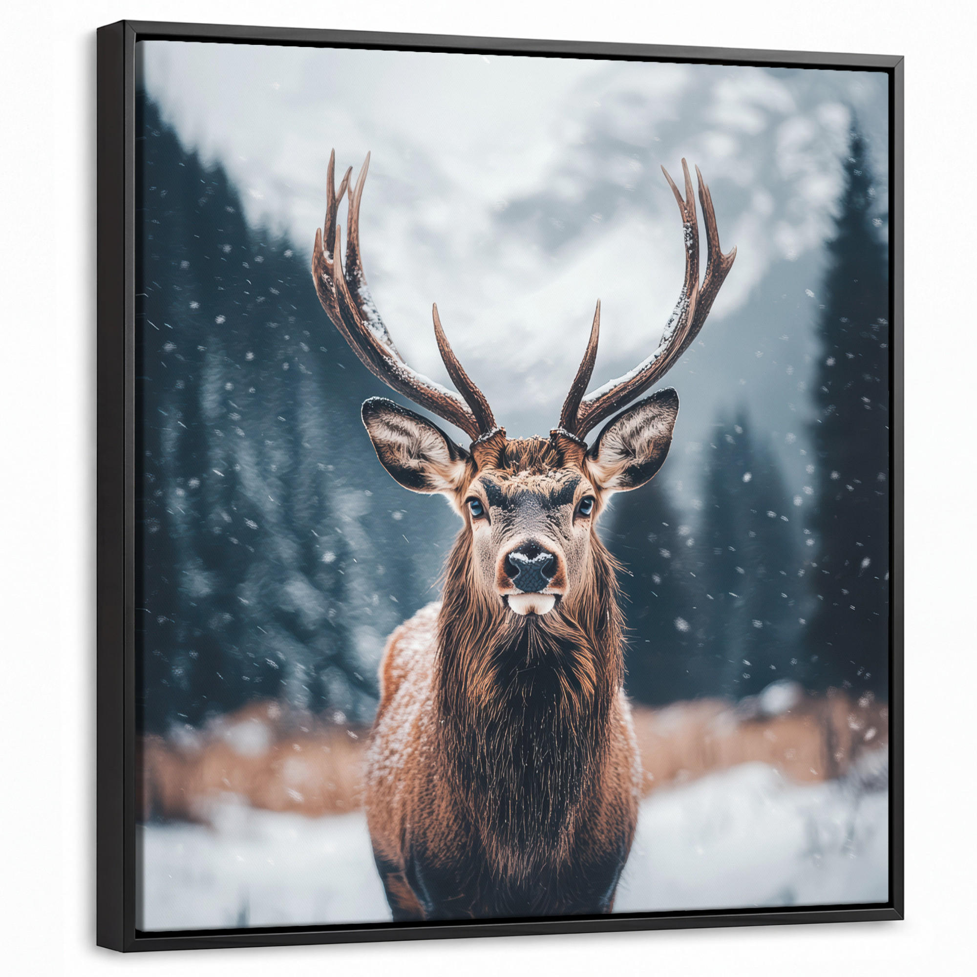 MuchoWow Leinwand Kastanien 50x50 cm