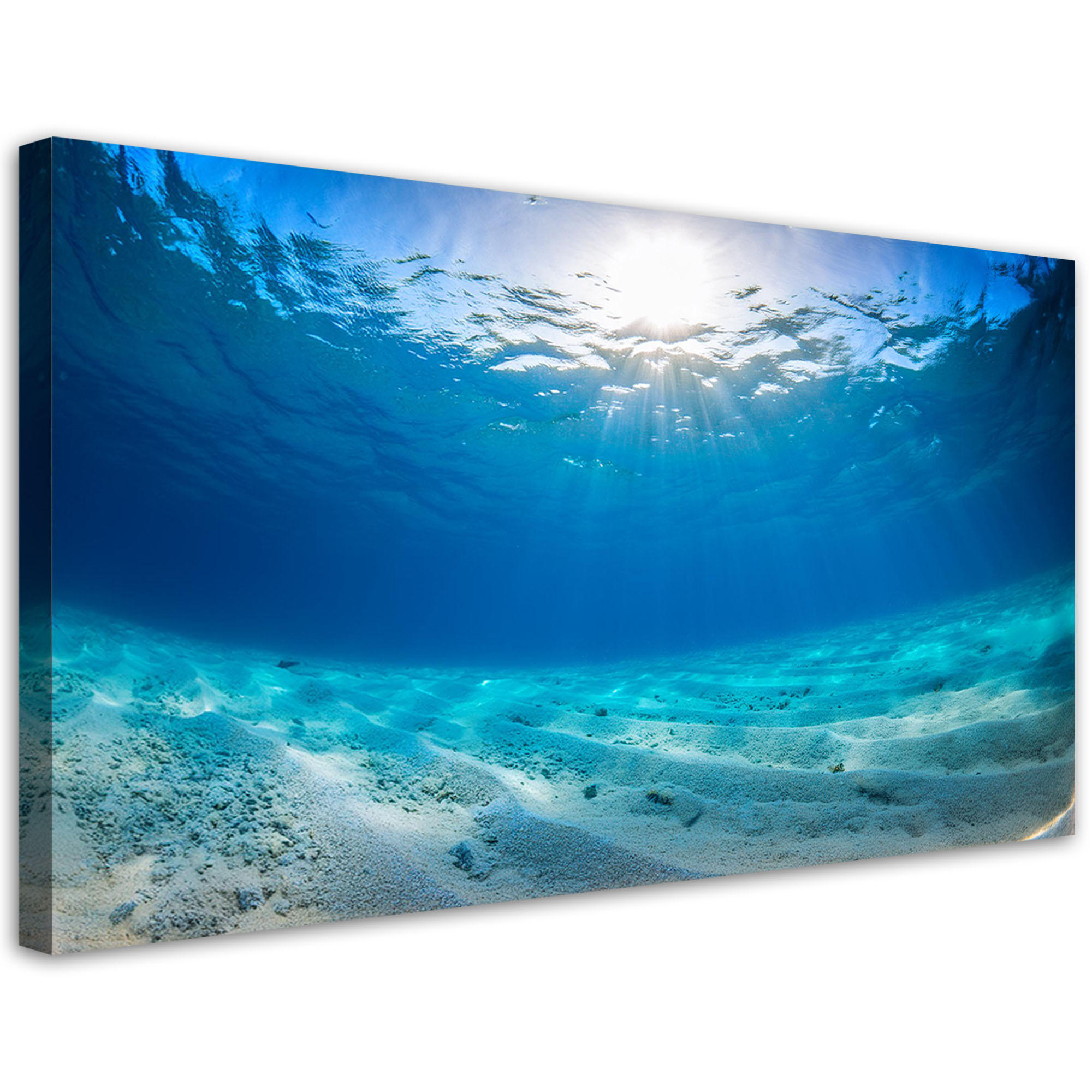 WANDBILD tiefen des meeres natur - Blau, Textil (80/40cm) - Feeby