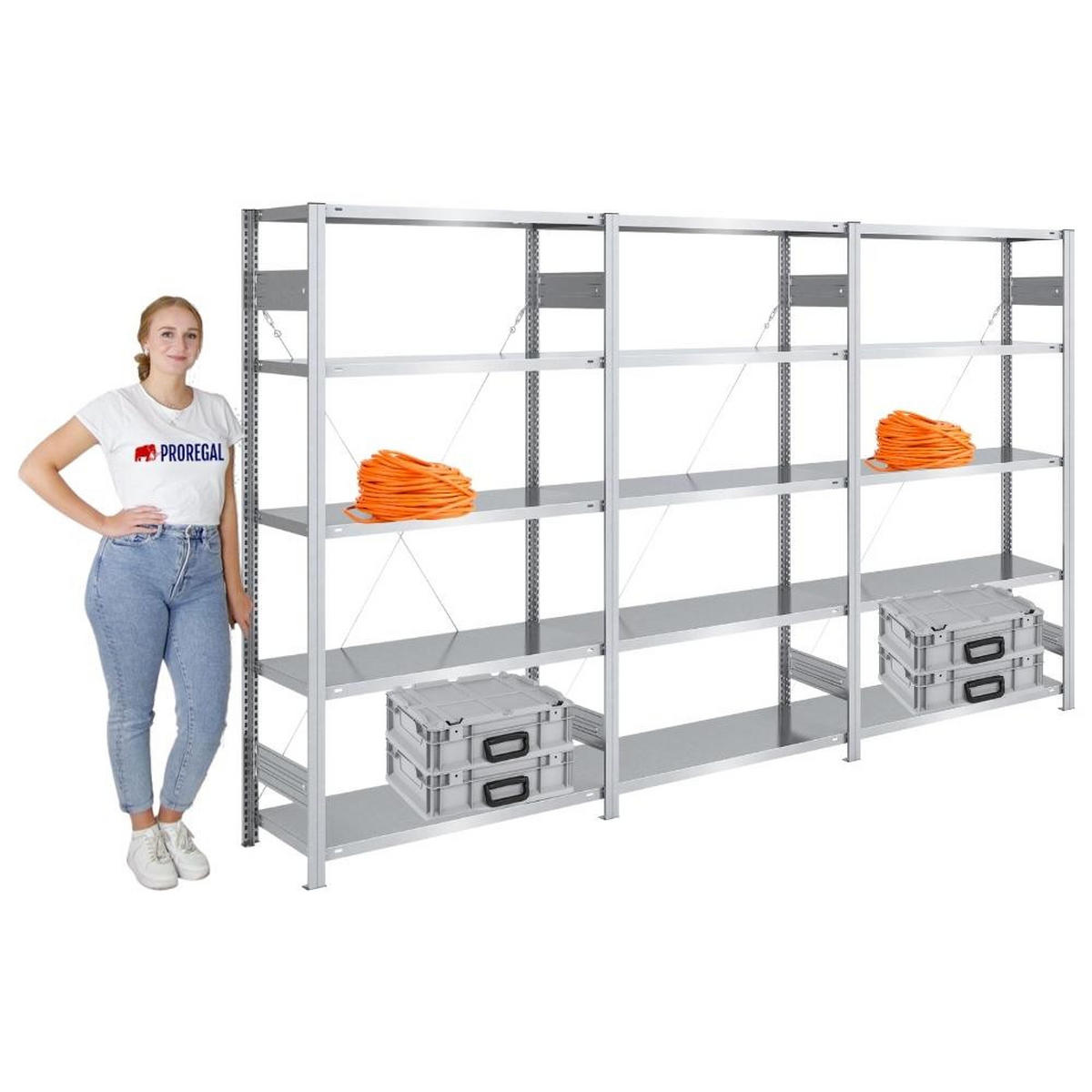 SCHWERLASTREGAL Silver Mamba 200x300x40cm 5 Ebenen je 150kg Fachlast Verzinkt - Silberfarben, Metall (300/200/40cm) - PROREGAL