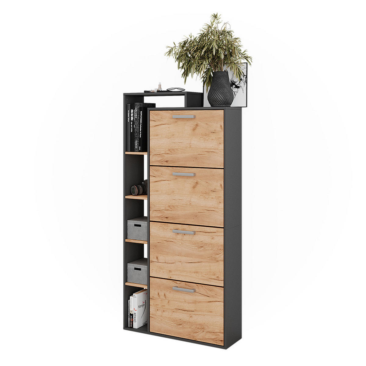 SCHUHKIPPER Orlando Goldkraft Eiche/Anthrazit 80 x 166.1 cm mit 4 Fächern - Anthrazit/Eiche Wotan, Holzwerkstoff (80/166.1/24.2cm) - Vicco