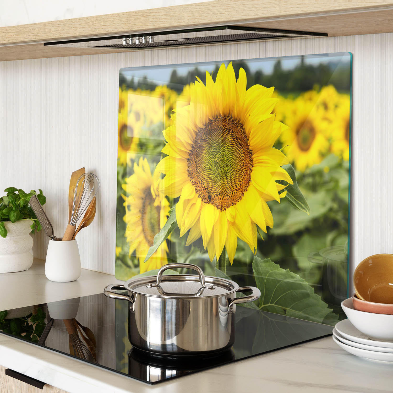 GLASPLATTE 60x52 cm Sonnenblumenfeld - Gelb, Glas (60/0.4/52cm) - TULUP