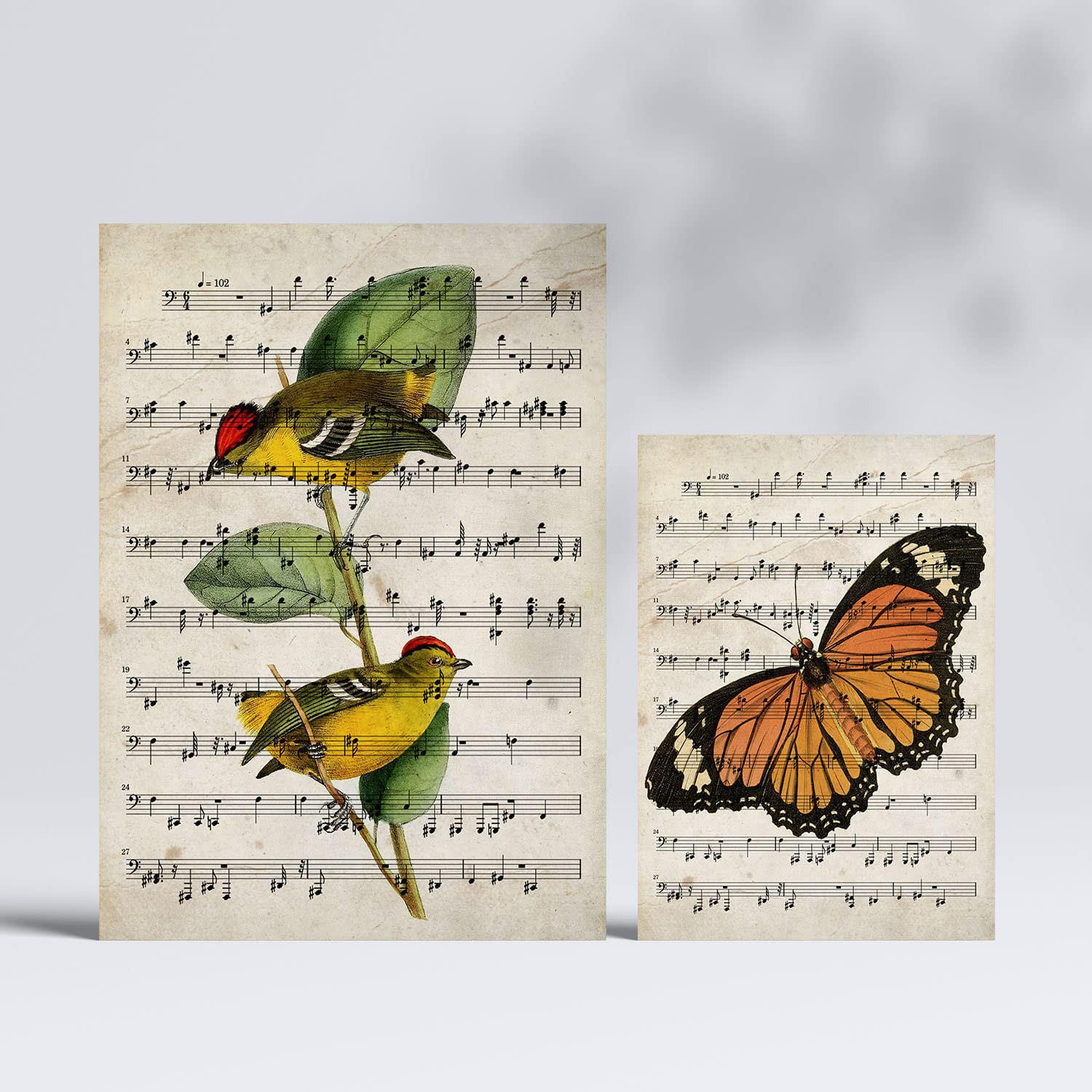 POSTER Set Mit 6 Noten Vintage Papier Stil Natur Und Flug, Vögel Und Schmetterlinge A3 & A4 Rahmenlos - Klar, Papier (29/3cm) - Nacnic