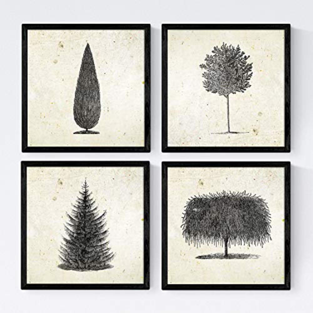 POSTER Set mit 4 Blättern der Bäume in Alten Papierhintergrund Jahrgang 20x20cm Rahmenlos - Klar, Papier (20/3cm) - Nacnic