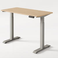 SCHREIBTISCH Elektrisch Höhenverstellbarer HomeOne 120x60cm Grau/Bambus mit Memory-Funktion, Anti-Kollisions Technologie - Hellgelb/Grau, Holz (60/120/72cm) - Desktronic
