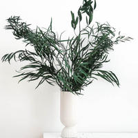 EUKALYPTUS Nicoly - der Kräftige - grün / 60 cm - Grün, Naturmaterialien (60cm) - Lykke & You