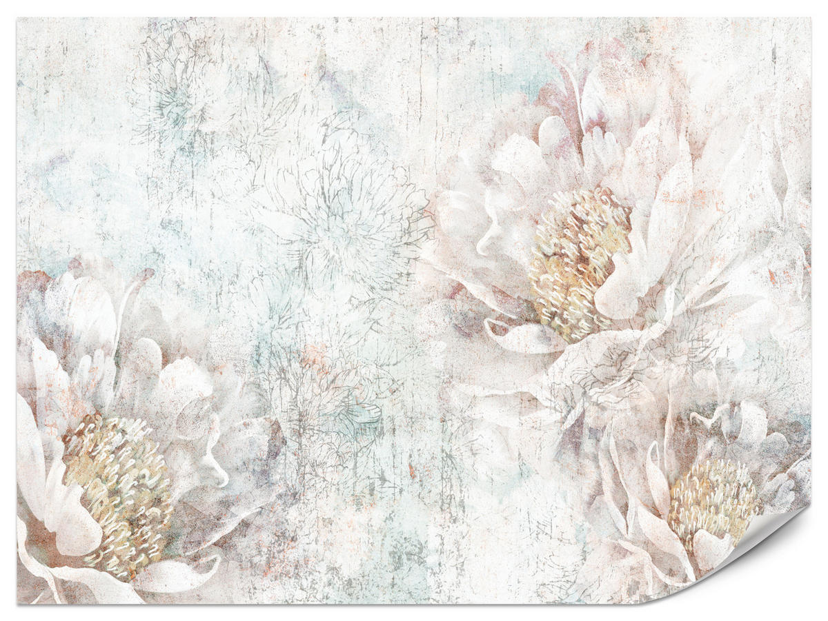 FOTOTAPETE für Büro Pfingstrosen Blumen Beton Vintage 150x105 - Gelb/Rosa, Papier (150/105cm) - Muralo