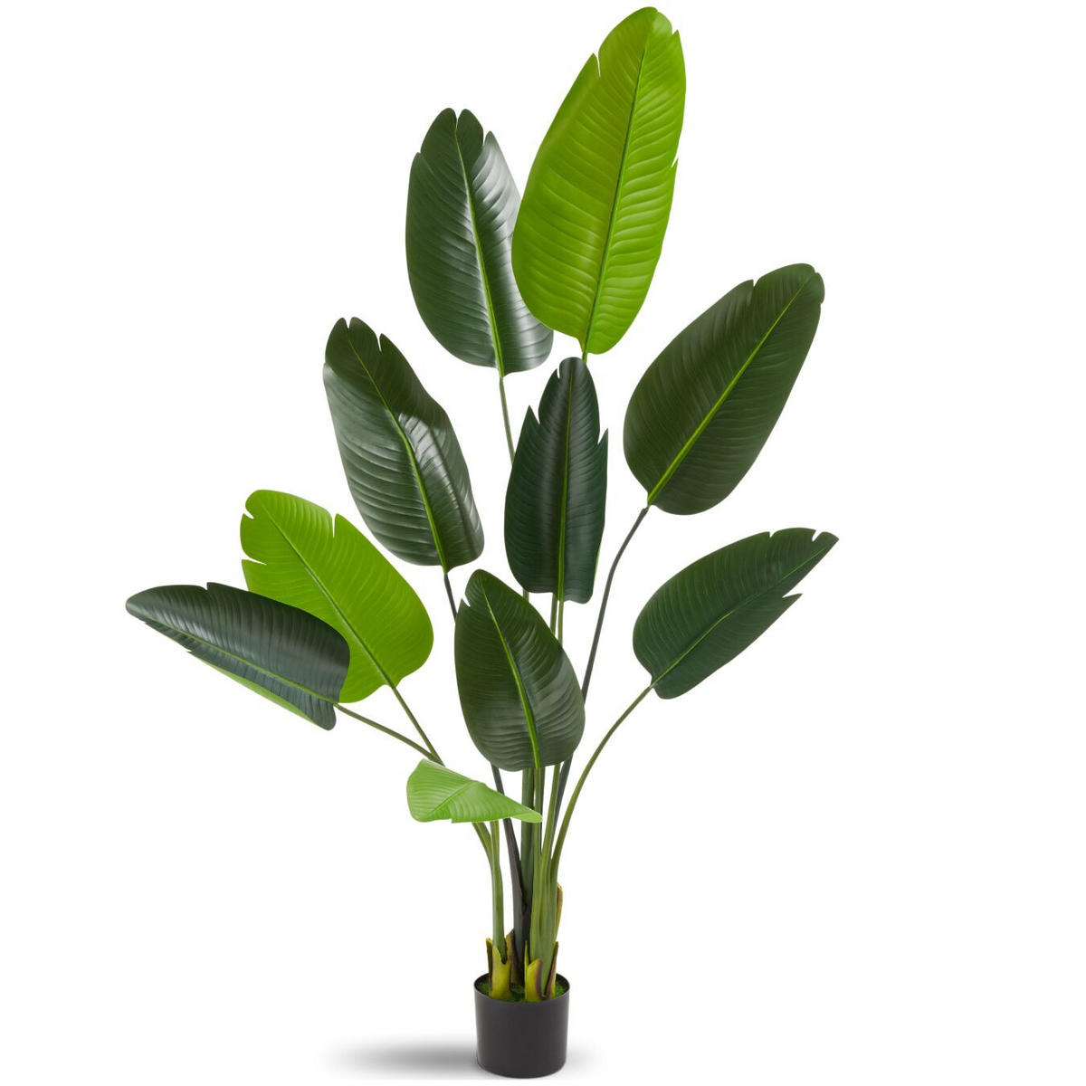 KÜNSTLICHER-PARADIESVOGELBAUM Tropic,stabiler Kunststoff-Blumentopf,grün - Grün, Kunststoff (160cm) - tectake