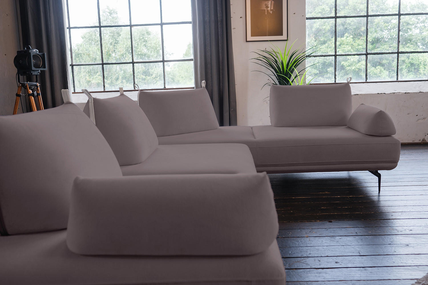 Thumbnail - Kawola Ecksofa, Lila, Schwarz, Textil, Echtholz, 4-Sitzer, Füllung: Schaumstoff, 310x210 cm, Wohnzimmer, Sofas & Couches...