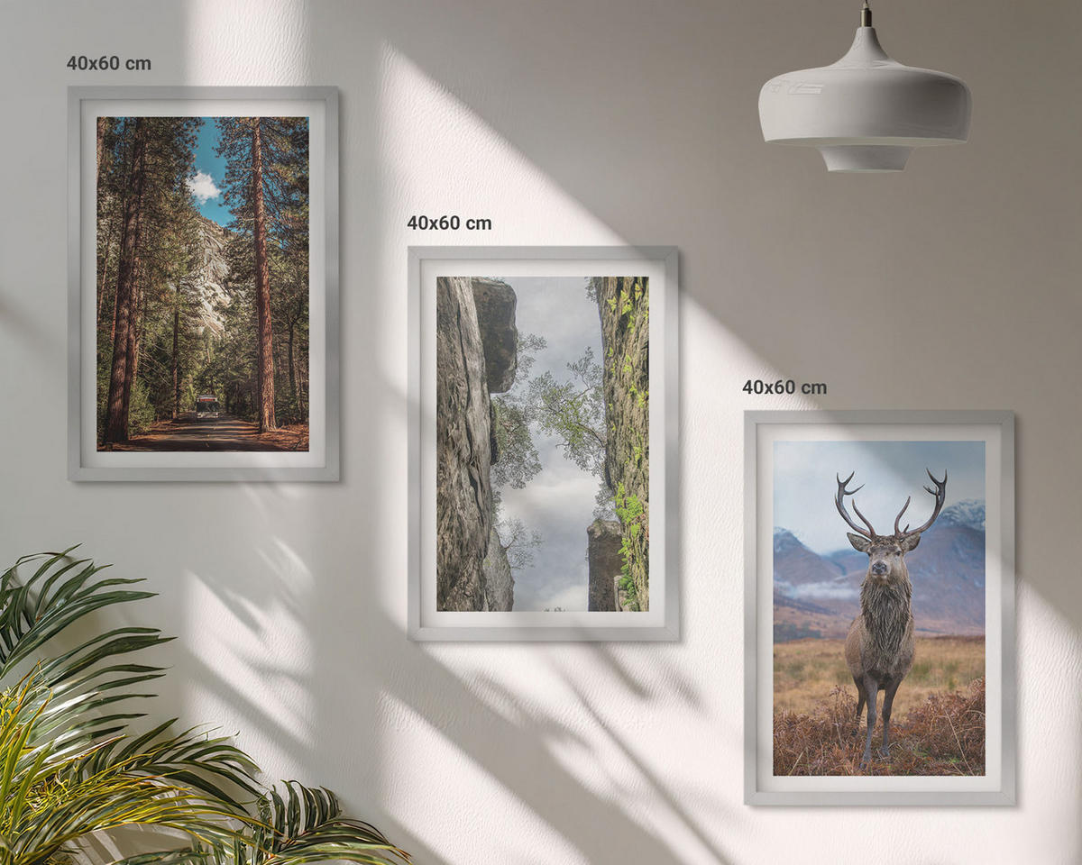 WANDBILDER 3er Set - 40x60 cm Silberner Rahmen - Straße Wald Berge Hirsch Natur - Silberfarben, Kunststoff (40/60cm) - ArtPrintCave