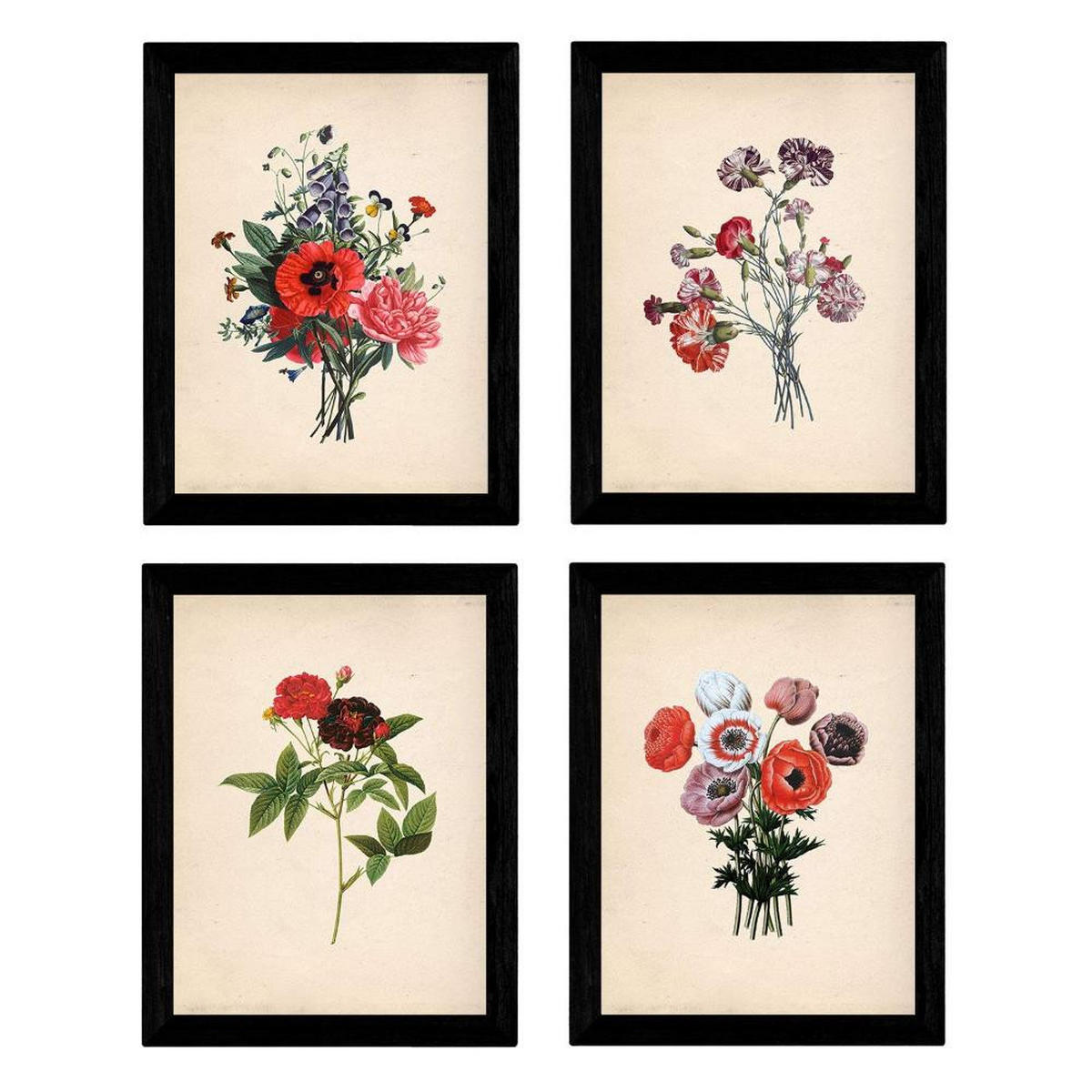 POSTER Set mit 4 Dunkelrot Botanischen Stil Papier A3 Rahmenlos - Klar, Papier (29.7/3cm) - Nacnic