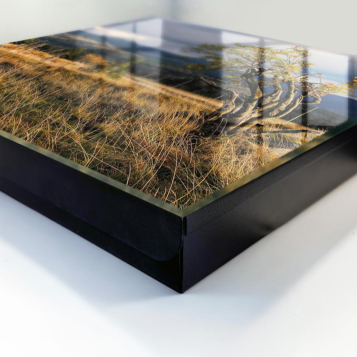 SCHLÜSSELBOX Schwarz 30x30 cm- Türöffnung nach rechts - Herbstlandschaft - Grün, Metall (30/30/5cm) - TULUP