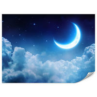 FOTOTAPETE für Schlafzimmer Himmel Wolken Mond Sterne 300x210 - Blau/Dunkelblau, Papier (300/210cm) - Muralo