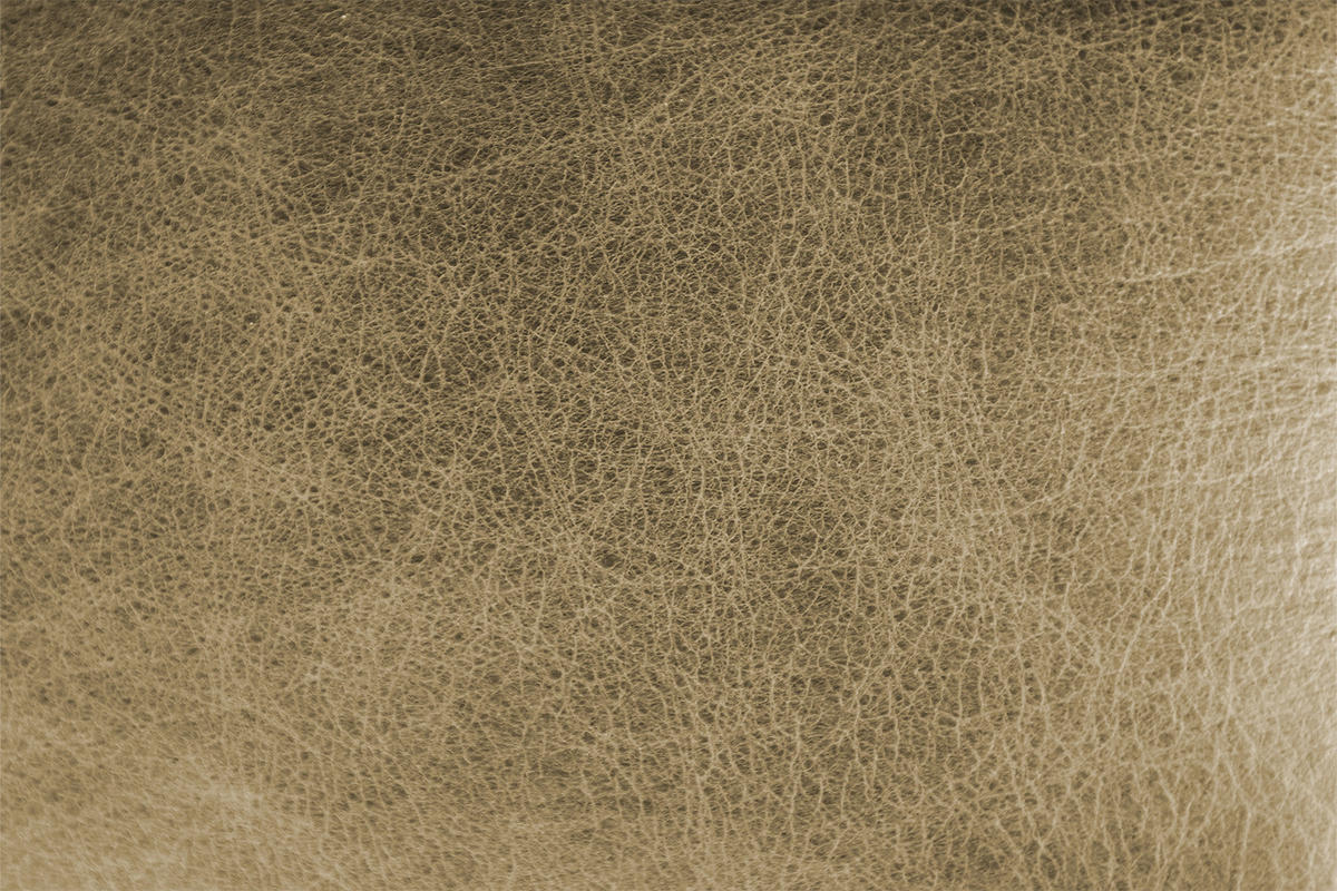 ECKSOFA BLOOM Grün Leder - Schwarz/Grün, Leder (276/177cm) - KAWOLA