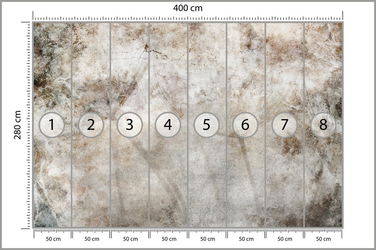 FOTOTAPETE Löwenzahnsamen Beton Retro Stil 400x280 - Beige/Braun, Papier (400/280cm) - Muralo