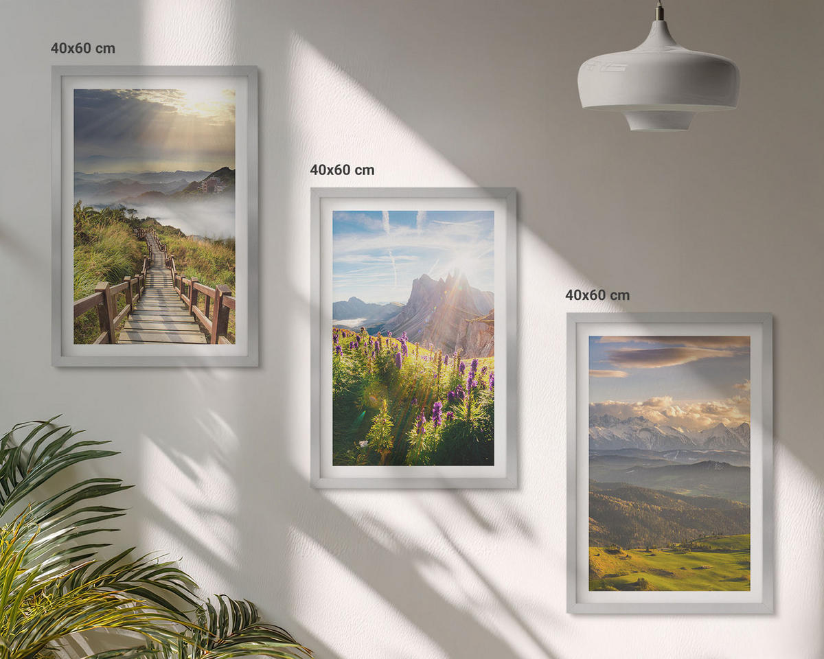 BILDER SET 3er Set - 40x60 cm Silberner Rahmen - Berglandschaft mit Blumen - Silberfarben, Kunststoff (40/60cm) - TULUP
