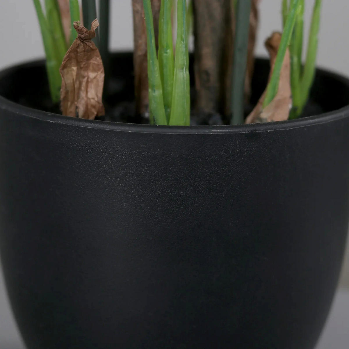 KUNSTPFLANZE Künstliches Spathiphyllum - Abel 55 cm - Grün, Kunststoff (55cm) - aplanta