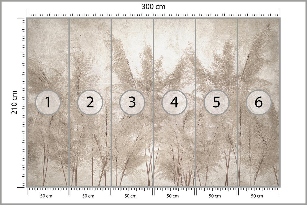 FOTOTAPETE für Schlafzimmer Pampasgras Vintage Beige Boho 300x210 - Beige/Braun, Papier (300/210cm) - Muralo