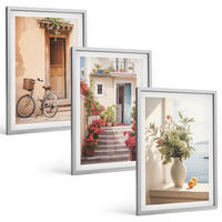BILDER SET 3er Set - 40x60 cm Silberner Rahmen - Charmante Küstenstraßen - Silberfarben, Kunststoff (40/60cm) - TULUP