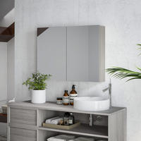 SPIEGELSCHRANK Grau 80/15/60 cm - Grau, Holz (80/60/15cm) - PANGIVO
