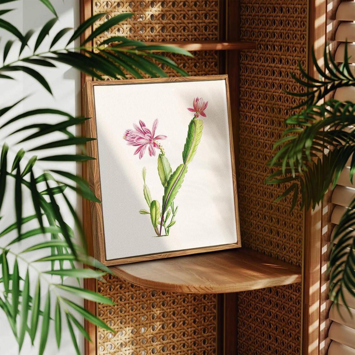 LEINWANDBILD mit Rahmen Botanisch Rosa Kaktus 20 x 25 cm - Rosa, Holz (20/0.5cm)