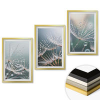 WANDBILDER 3er Set - 40x60 cm Goldrahmen - Wassertropfen auf Löwenzahnsprossen - Goldfarben, Kunststoff (40/60cm) - ArtPrintCave