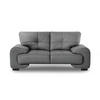 2-SITZER SOFA Omega aus Kunstleder, Grau - Schwarz/Grau, Leder (185/88/98cm) - Beautysofa