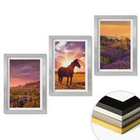 WANDBILDER 3er Set - 20x30 cm Silberner Rahmen - Berglandschaft mit einem Pferd - Silberfarben, Kunststoff (20/30cm) - ArtPrintCave
