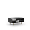 COUCHTISCH Nubia 100 x 60 Schwarz - Goldfarben/Schwarz, Holzwerkstoff/Metall (60/100/45cm) - Ravio