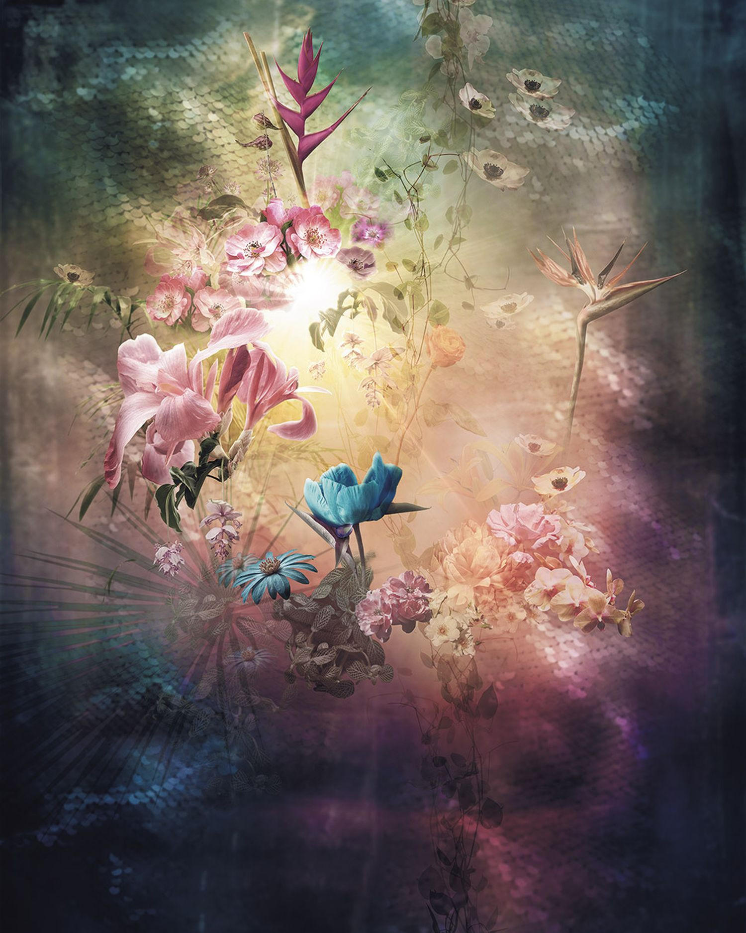FOTOTAPETE Blumen 200 x 250 cm - Multicolor, Papier (200/250cm) - Sanders & Sanders