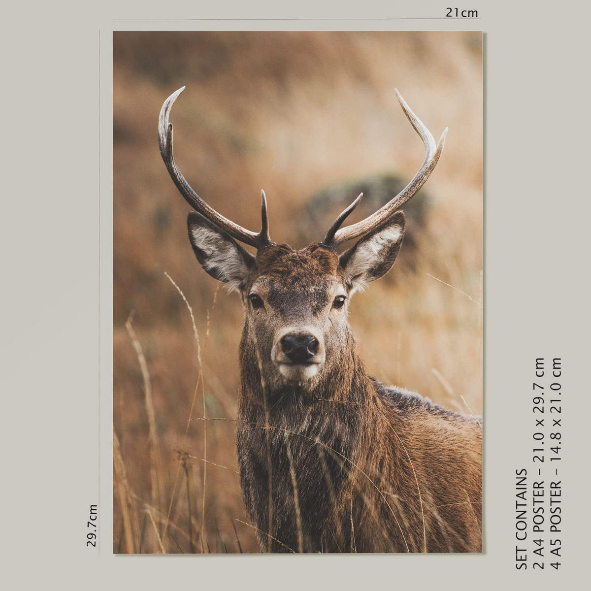 POSTER Set Mit 6 Winter Natur Wandbild A3 & A4 Rahmenlos - Klar, Papier (29/3cm) - Nacnic