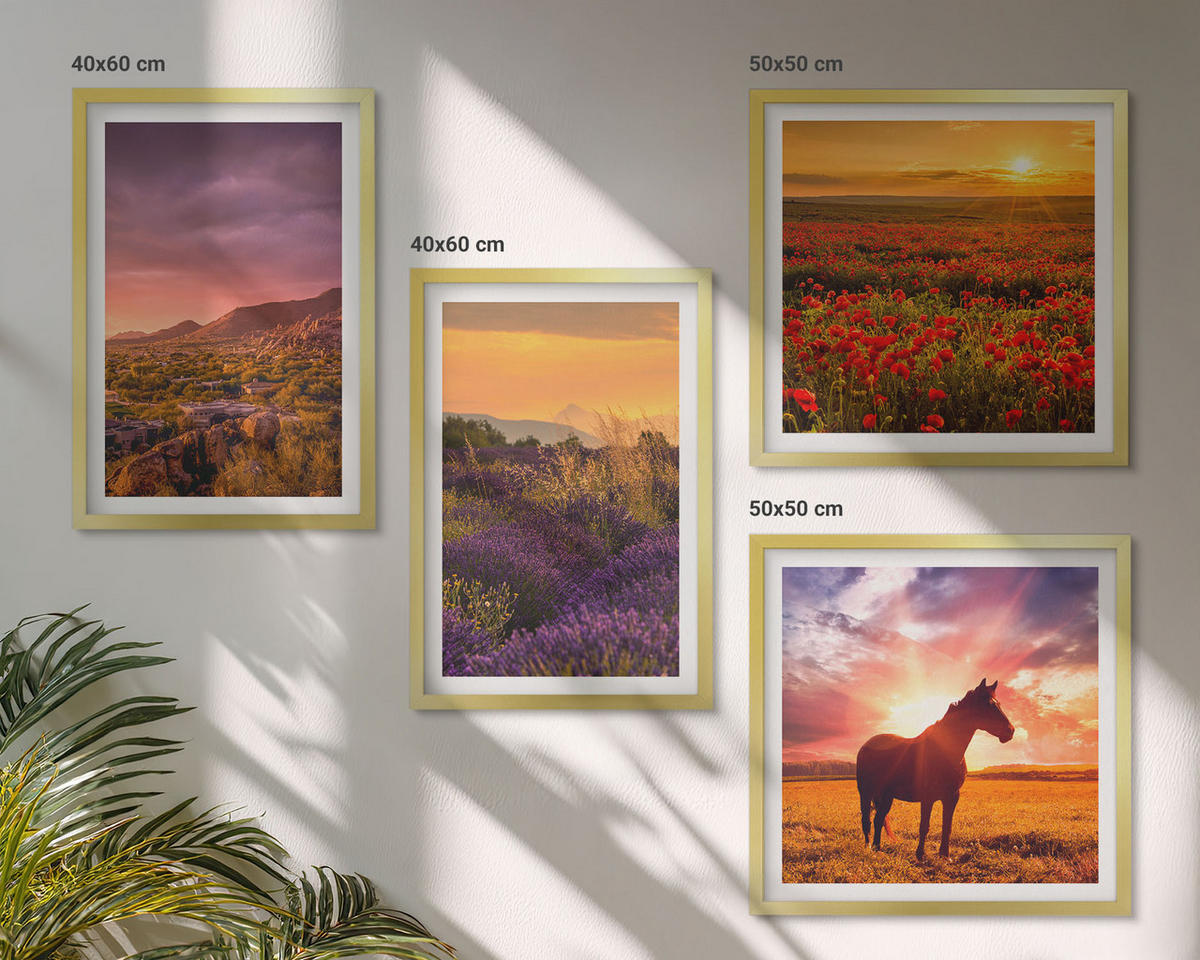BILDER SET 4er Set - 50x50 cm & 40x60 cm Goldrahmen - Berglandschaft Rosslavendel - Goldfarben, Kunststoff (50/50cm) - TULUP