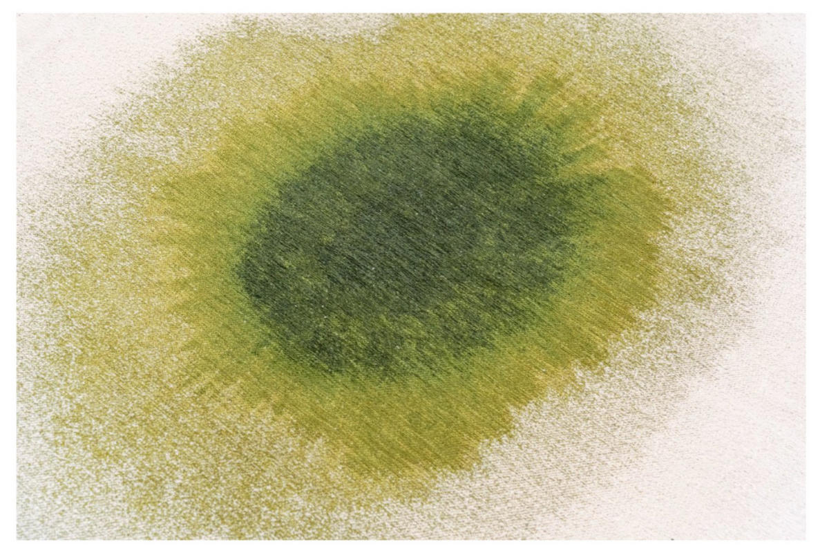 TEPPICH modern Flachgewebe GLOBE Grün 240 x 340 cm - Grün, Textil (240/340cm) - Novatrend