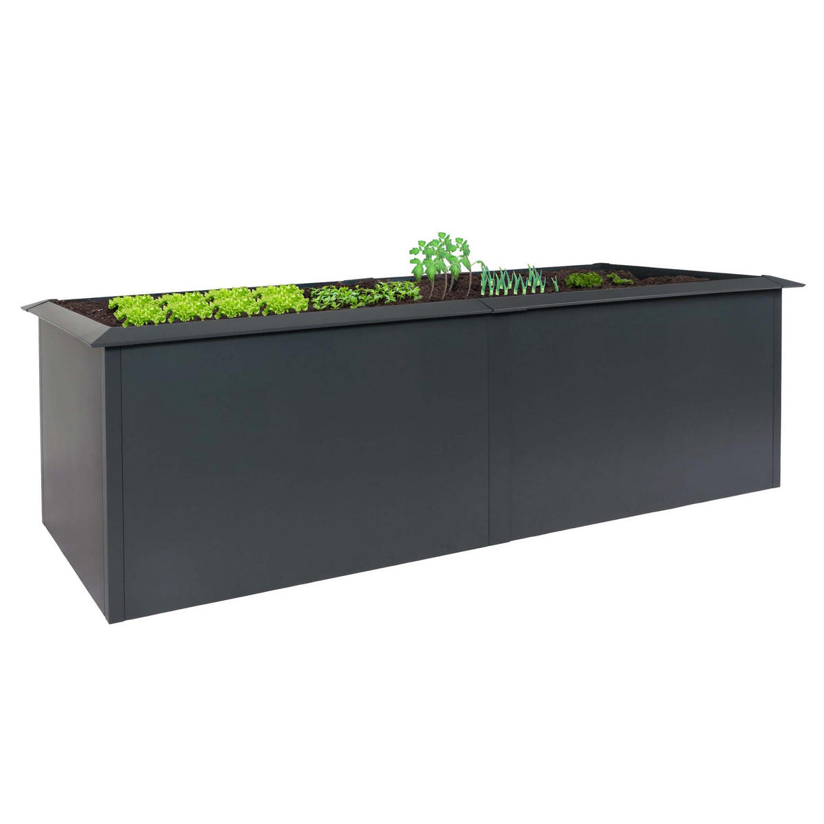 HOCHBEET Schneckenkante 78x250x90cm Anthrazit - Anthrazit, Metall (250/78/90cm) - PROREGAL