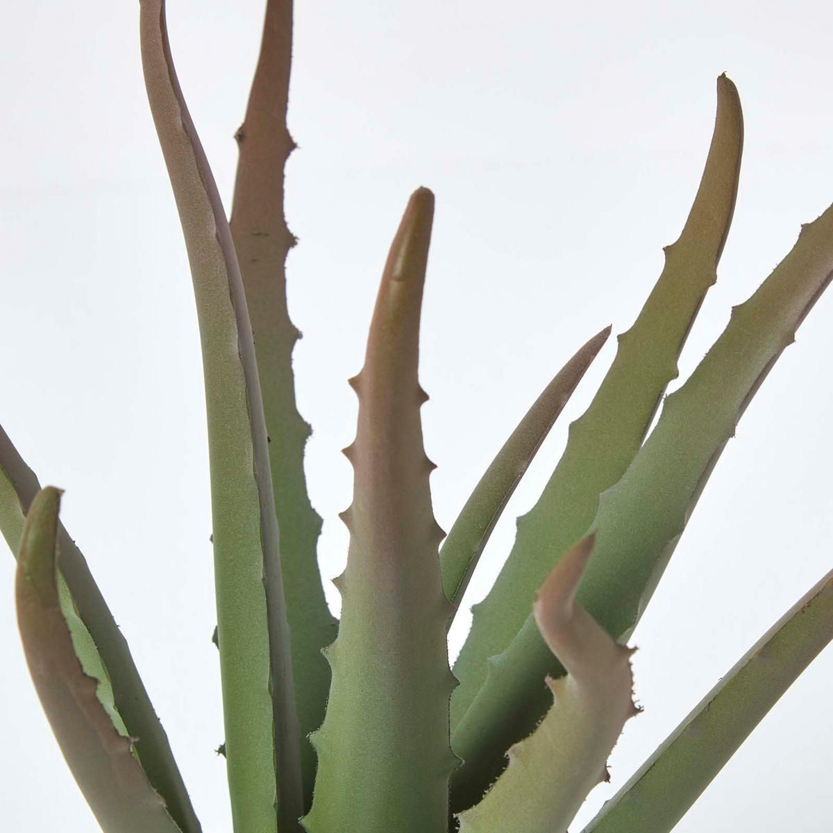 KUNSTPFLANZE Aloe vera im Deko-Topf, 30 cm - Grün, Kunststoff (30cm) - Homescapes