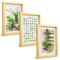 BILDER SET 3er Set - 20x30 cm Goldrahmen - Getrocknete Kräuter für die Küche - Goldfarben, Kunststoff (20/30cm) - TULUP